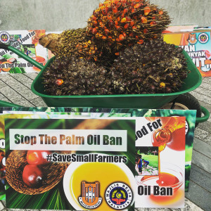 stop-palm-oil-ban