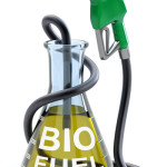 Still No Consensus on Sustainability Criteria for Biofuels