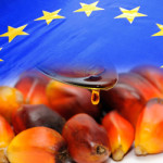 The EU’s inaction with respect to ‘palm oil-free’ claims and the EU’s approach to a standard for sustainable palm oil