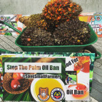 The Proposed EU Ban On Palm Oil As Biofuels, And One Stringent Certification : Protectionism or Fulfilling UN Sustainable Development Goals (SDG)