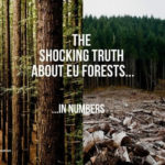 The Shocking Truth About Eu Forests In Numbers